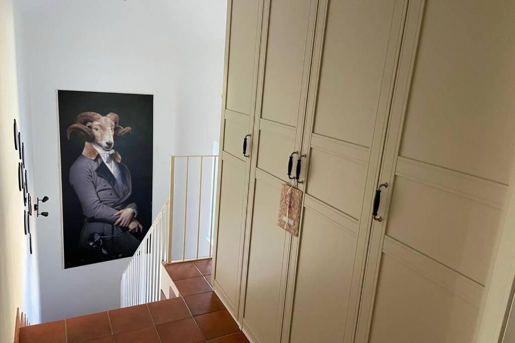 Terrassen Appartement Ueber Den Daechern Von Krems ภายนอก รูปภาพ